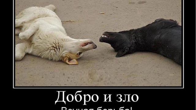 Книга ВЛАСТИТЕЛИ МИРА  ПОДМЕНА 14  ПОДМЕНА 14  ВЕЧНАЯ БОРЬБА
