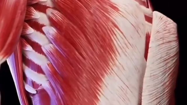 #эзотерика #психосоматика #психосоматикабесплодия
