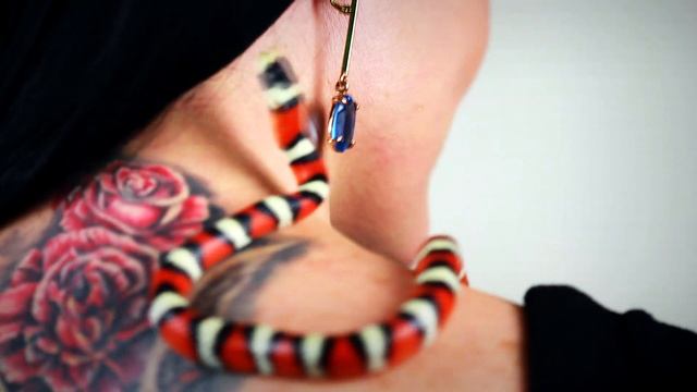 Макияж от Виктории Ковалевой. Snake Theme.