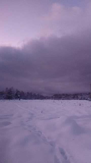 На закате в гости зима ❄⛄заглянула)