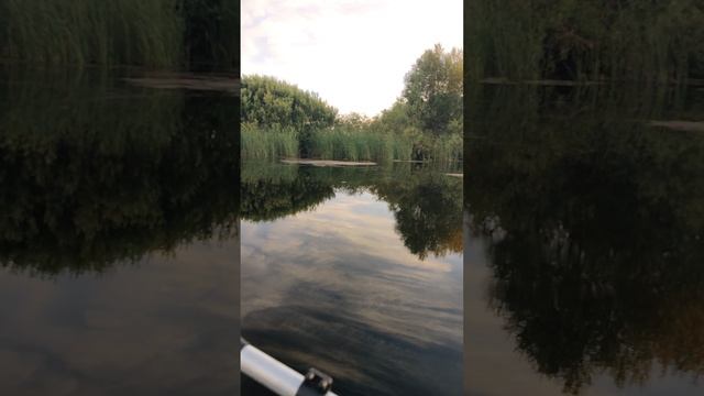 VID_20240628_201255