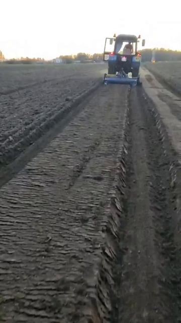 Фрезерный грядообразователь от компании ГАСПАР АГРО. Отзыв клиента в поле