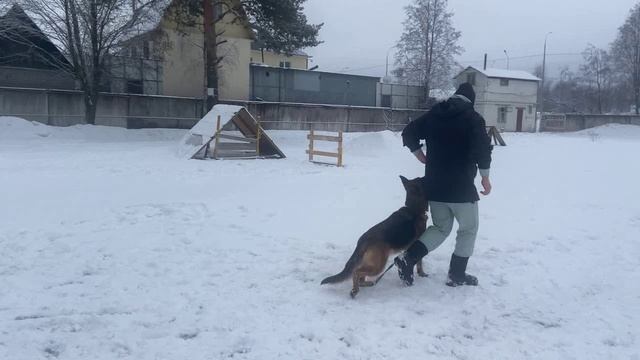 Даша. Подготовка к ОКД.