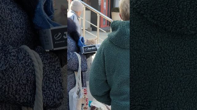 кому котика