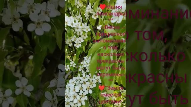 ВЕСНА 🤗♥️🌞  «Где цветут цветы, там и надежда».    Магия Алисандры ♥️ ЛЮБВИ ГАРМОНИИ В ОТНОШЕНИЯХ 💋