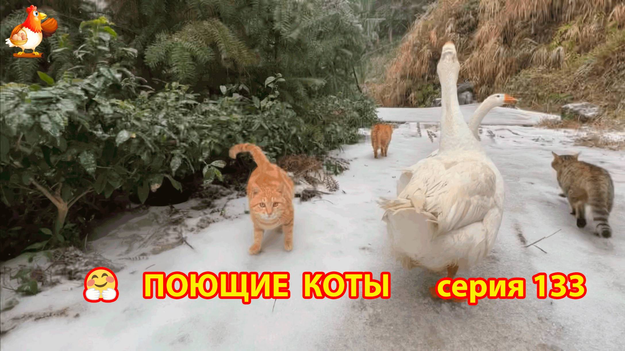 Крутые коты у птичьего двора серия (133) 🐈🐈⬛😹 Природа Абхазии и подворье с птицами и животными ❣