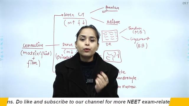 LIVE NEET 2024 | MISSION 350+ IN BIO | NCERT LINE BY LINE | STRUCTURAL ORGANISATION IN ANIMALS #NEE