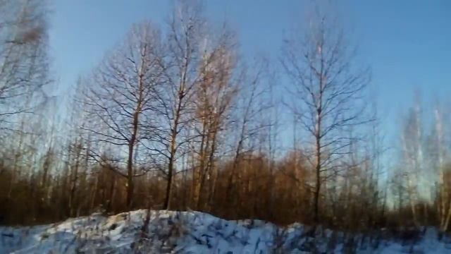 Красота