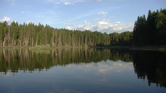 С поплавочкой и кружками на озере #510