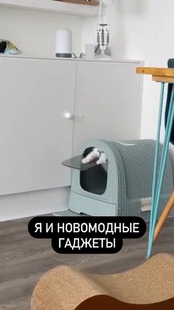 Я и новомодные гаджеты