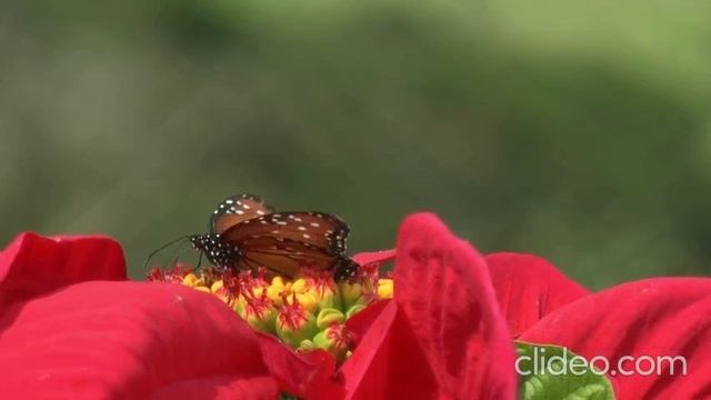 Береги себя для меня.