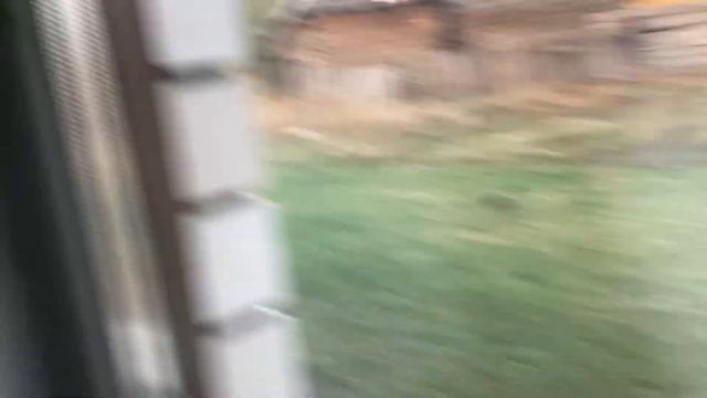 Ёжик просто гуляет...