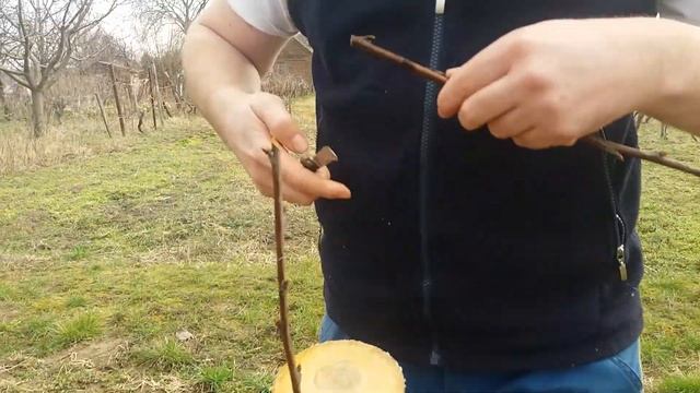 Az első oltásom ! 2018 03 11