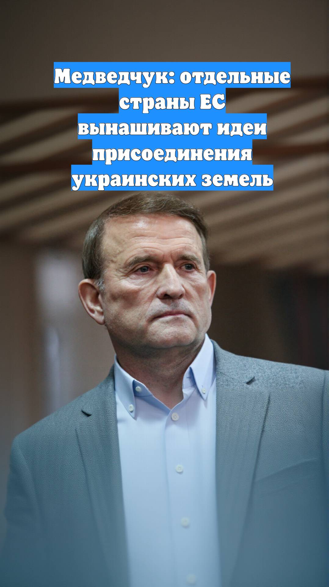 Медведчук: отдельные страны ЕС вынашивают идеи присоединения украинских земель