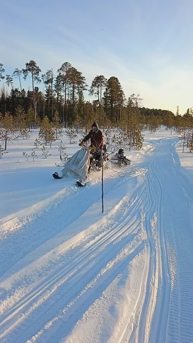 Снегоходная движуха!