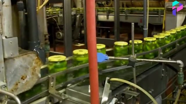 How Pickles Are Made In Factory -  How It's Made Pickles