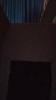 Кот в своём домике