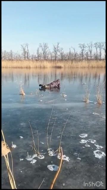 мечта рыбака