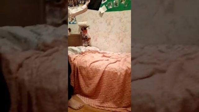 Разбиваю планшет. Омай гад!!! Шок контент!!
