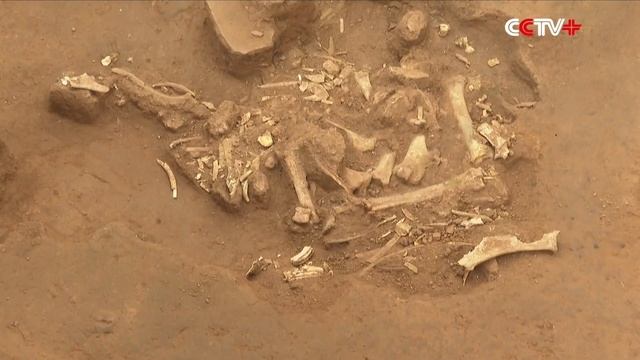 More Terracotta Warriors Unearthed nearby Emperor Qinshihuang's Mausoleum