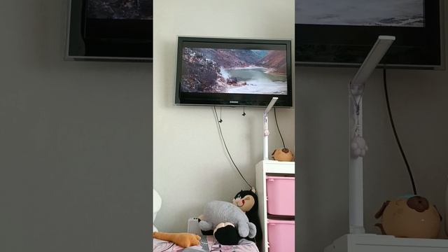 басики смотрят бременских музыкантов