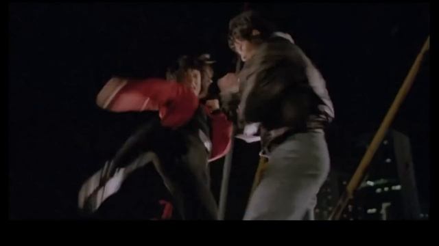 大島由加里 Cynthia Luster　アクション集 3rd ~Yukari Oshima Fight Compilation 3~
