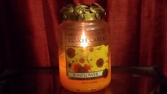 Yankee Candle Sunflower large jar review.