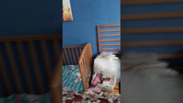 1000022124.mp4