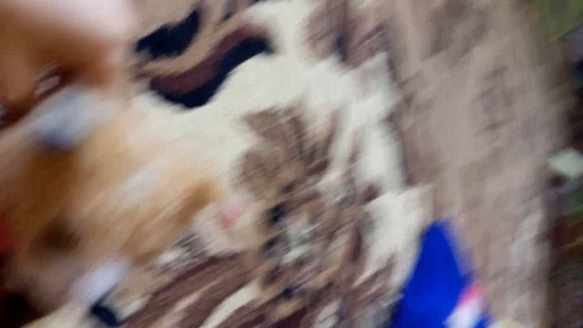 начало возвращение снюса