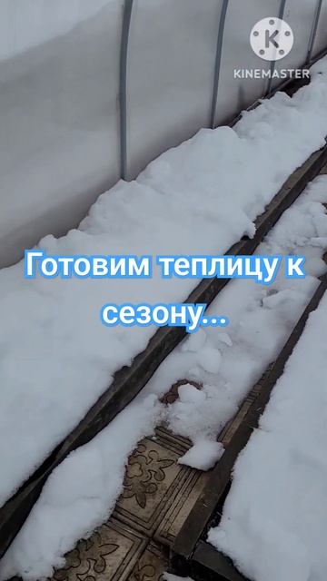 Готовим нашу теплицу к новому сезону... Накидали снега в теплицу!