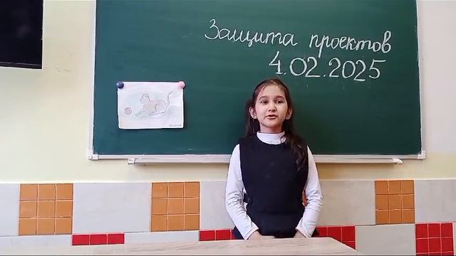 Конкурс проектов 2025. Сталеваров. 149