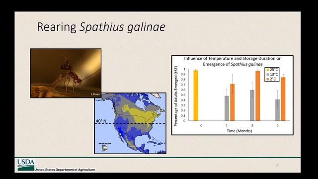 Rearing, Releasing & Recovery of Emerald Ash Borer Parasitoids