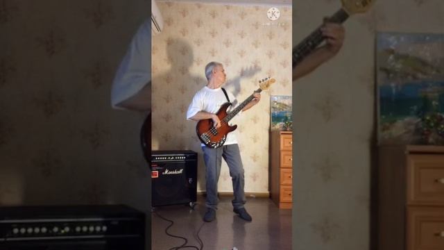 Lady In Red - Chris De Burgh (Bass cover)