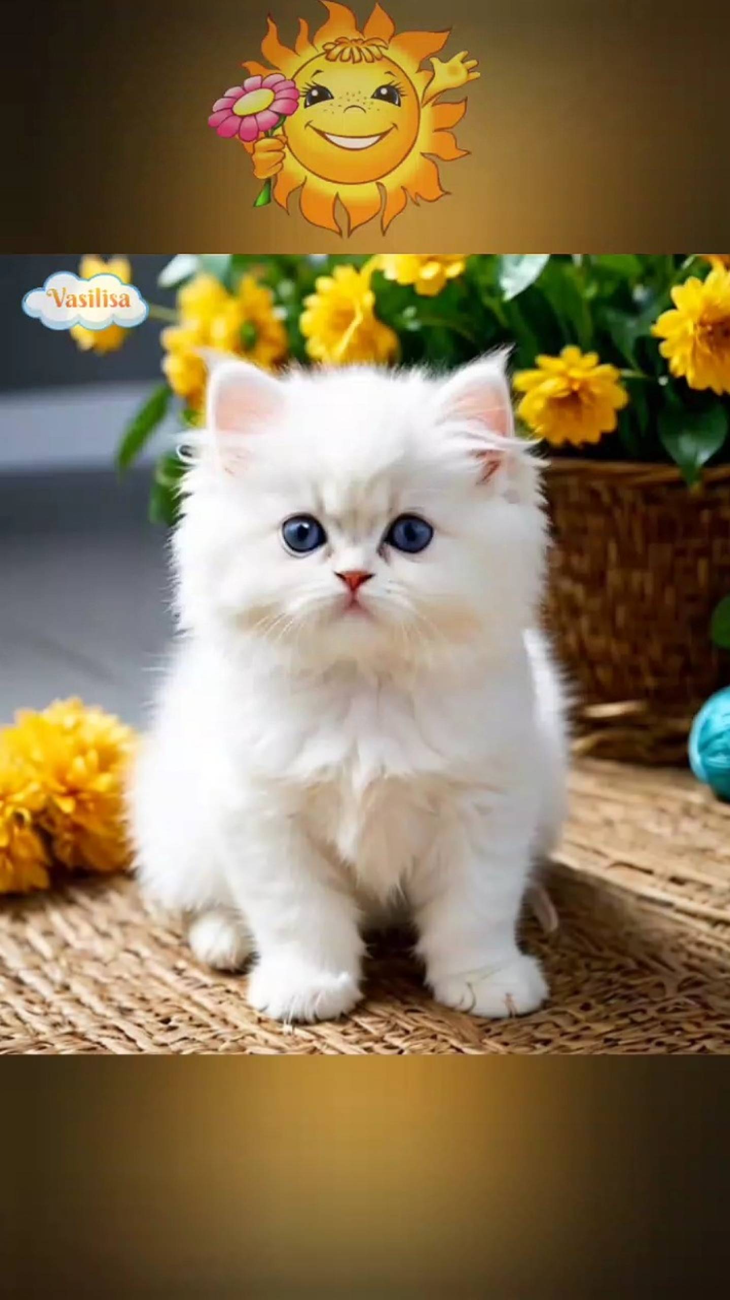 Котëнок Васька 🥰