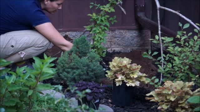 Planting Roses and Coral Bells Till Dark 🦉🌙 Growing Home Gardening