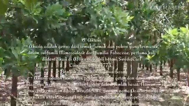 Potensi Sumber daya Alam dan Kemaritiman Indonesia