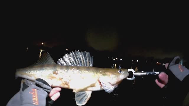 Зимний спининг в крещение на р.Москва.