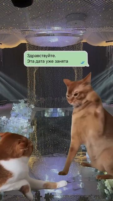 Подготовка к свадьбе в 2025 году