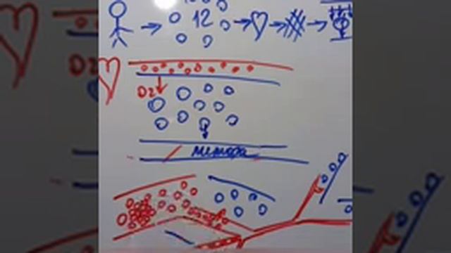 Артериальное давление.Основная причина