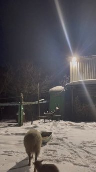 Деревенское утро субботы