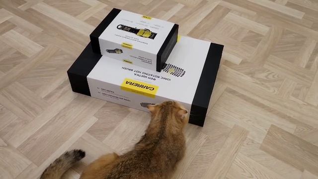 1000250914.mp4
