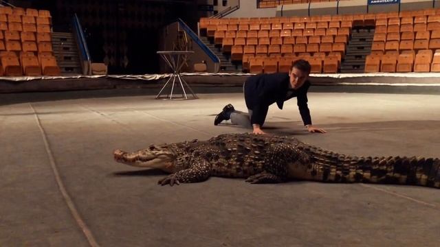 звёздный круиз