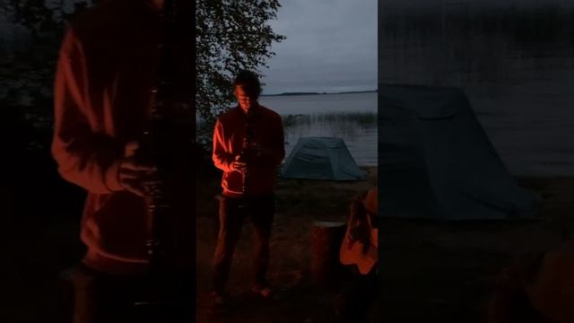 Кларнет + флейта + гитара
