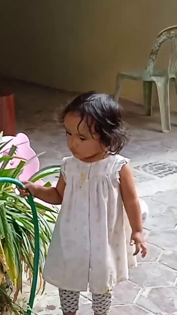 Chenla and flowers