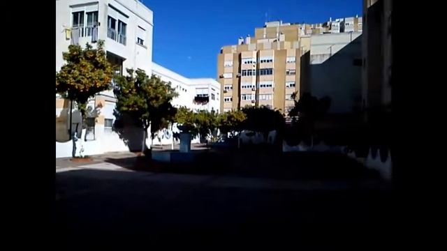 мандарины
