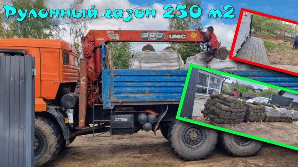 Рулонный газон