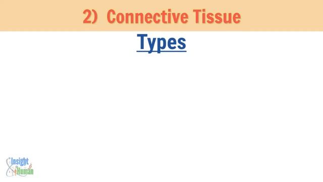 Tissues of Human Body | Animation | Simple Explanation