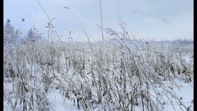 15-02-2025 серебро февральского утра 13 февраля