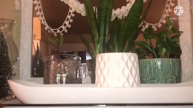 🪴••Houseplant Tour•Christmas addition••🎄