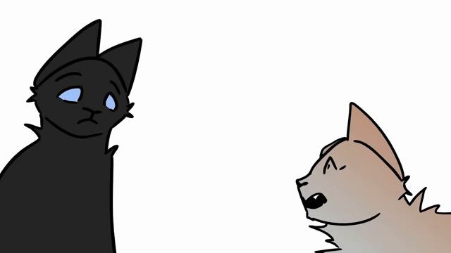 КОНЕЦ КОТОВ-ВОИТЕЛЕЙ? [АНИМАЦИЯ]